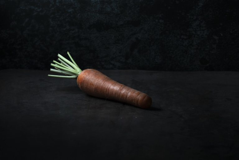 Légumes Bio Montpellier